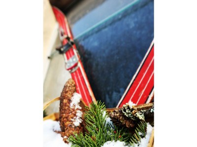 Apartment Appartement/Fewo NOAH, Dusche, WC, Terrasse - Outdoor photo 54