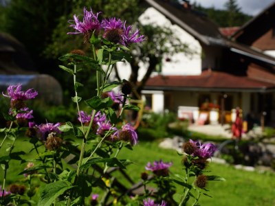 Apartment Appartement/Fewo NOAH, Dusche, WC, Terrasse - Outdoor photo 61