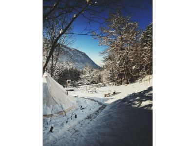 Apartment Appartement/Fewo NOAH, Dusche, WC, Terrasse - Outdoor photo 62