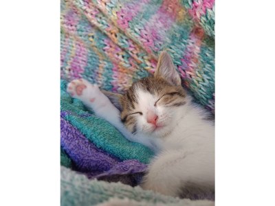 Apartment Appartement/Fewo NOAH, Dusche, WC, Terrasse - Outdoor photo 74