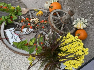 Apartment Apartment II Madeleine - Features photo 10