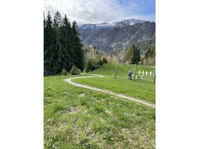 Apartment Appartement/Fewo, Bad, WC, 1 Schlafraum - Outdoor photo 22