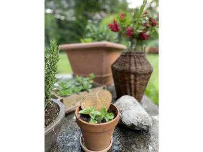 Apartment Ferienhaus mit 4 Doppelzimmern - Outdoor photo 18