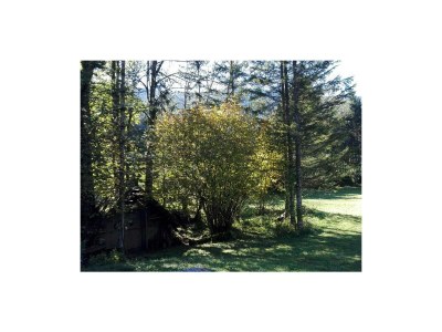 Apartment Ferienhaus, Bad, WC, 4 oder mehr Schlafräume - Outdoor photo 16