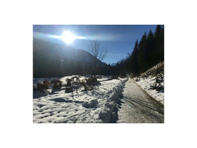 Apartment Ferienhaus, Bad, WC, 4 oder mehr Schlafräume - Outdoor photo 19