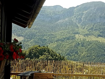 Apartment Appartement/Fewo, Dusche, WC, 2 Schlafräume - Outdoor photo 21