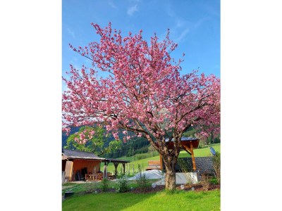 Apartment Tamberg-Blick - Outdoor photo 7