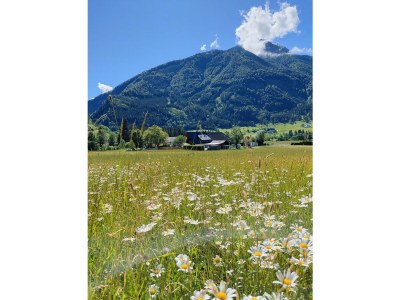Apartment Tamberg-Blick - Outdoor photo 18