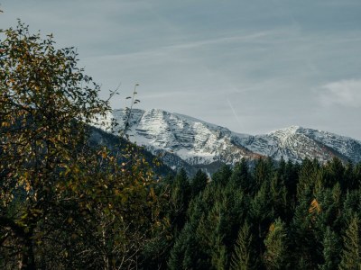 Apartment Warscheneck (55m²) - Top 2 - Outdoor photo 43