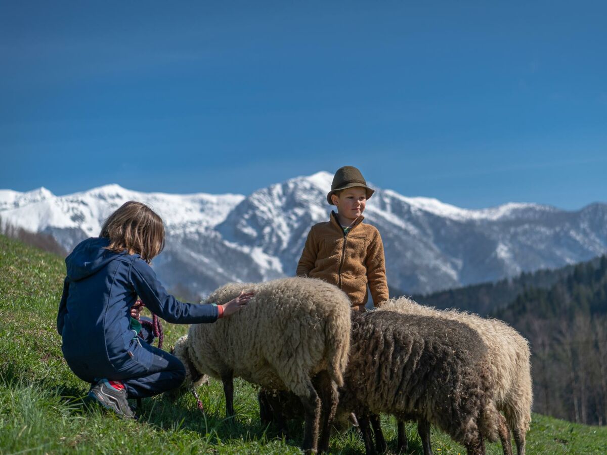 Apartment Ferienwohnung, Bad, WC, Küche, Balkon - Outdoor photo 5