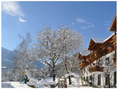 Apartment Ferienwohnung, Bad, WC, Küche, Balkon in Roßleithen - Apartment