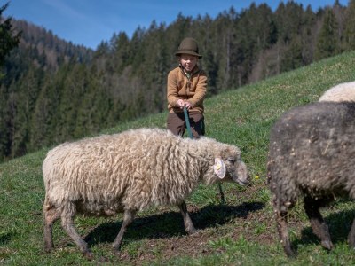 Apartment Ferienwohnung, Bad, WC, Küche, Balkon - Outdoor photo 19