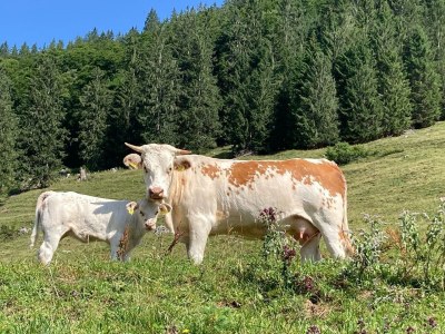 Apartment Ferienwohnung, Bad, WC, Küche, Balkon - Outdoor photo 23