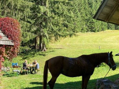 Apartment Ferienwohnung, Bad, WC, Küche, Balkon - Outdoor photo 34