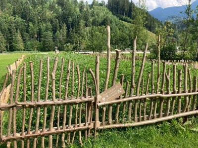 Apartment Ferienwohnung, Bad, WC, Küche, Balkon - Outdoor photo 37