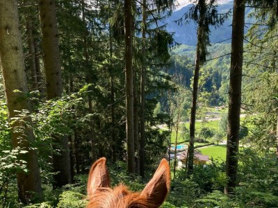 Apartment Ferienwohnung, Bad, WC, Küche, Balkon - Outdoor photo 38