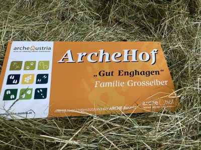 Apartment Ferienwohnung, Bad, WC, Küche, Balkon - Outdoor photo 47