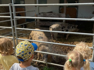 Apartment Ferienwohnung, Bad, WC, Küche, Balkon - Outdoor photo 48