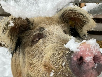 Apartment Ferienwohnung, Bad, WC, Küche, Balkon - Outdoor photo 49