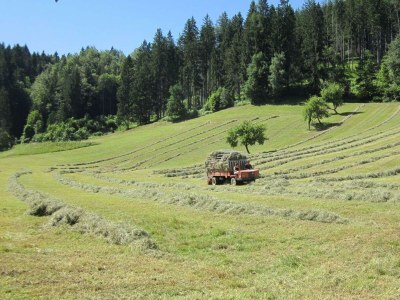 Apartment Ferienwohnung, Bad, WC, Küche, Balkon - Outdoor photo 54