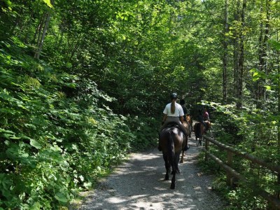 Apartment Ferienwohnung, Bad, WC, Küche, Balkon - Outdoor photo 57