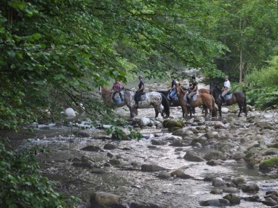 Apartment Ferienwohnung, Bad, WC, Küche, Balkon - Outdoor photo 58