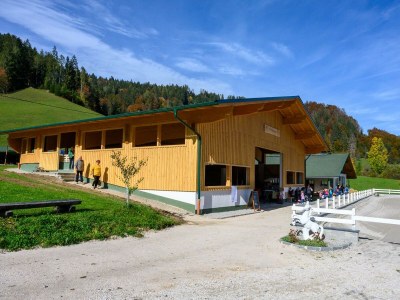 Apartment Ferienwohnung, Bad, WC, Küche, Balkon - Outdoor photo 59