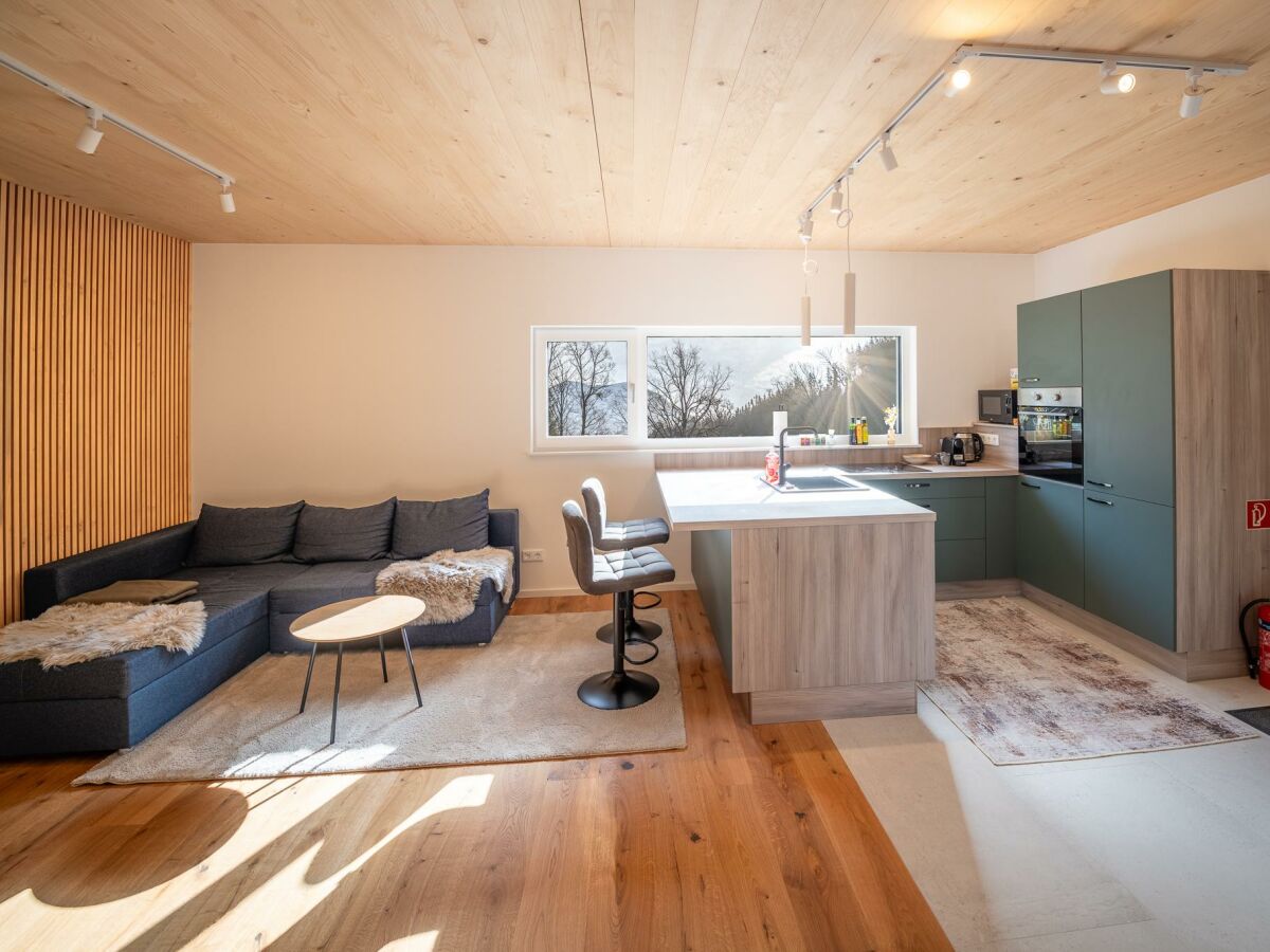 Apartment Appartement/Fewo, Dusche oder Bad, WC, 1 Schlafrau