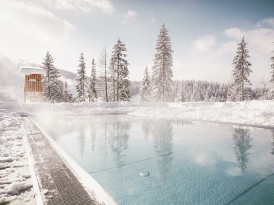 Apartment Superior Chalet mit Sauna - Outdoor photo 9