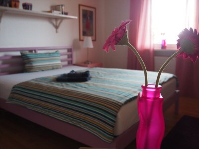 Holiday apartment Am Fuchswäldchen - Features photo 10