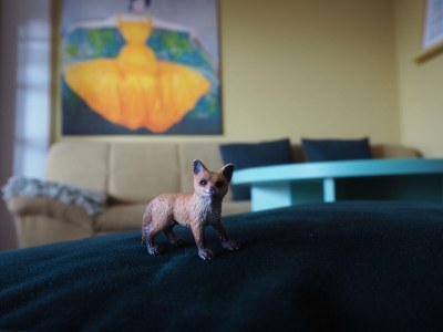 Holiday apartment Am Fuchswäldchen - Features photo 13