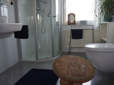 Holiday apartment Am Fuchswäldchen - Features photo 17