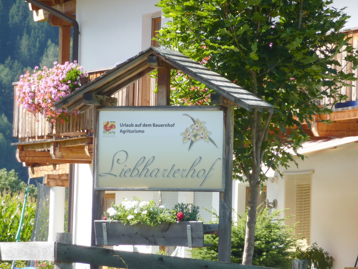 Farmhouse Liebharterhof - Apartment 2. - Outdoor photo 3