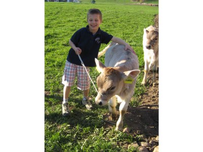 Farmhouse Liebharterhof - Apartment 2. - Environment photo 16