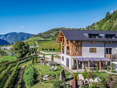 Apartment Weinberg Chalet Steindlgut - Outdoor photo 2