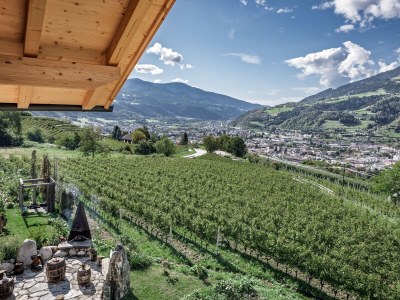 Apartment Weinberg Chalet Steindlgut - Outdoor photo 8