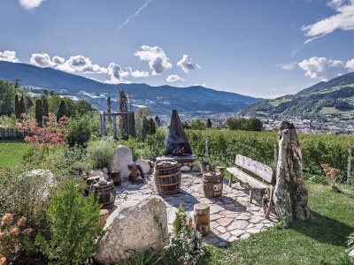 Apartment Weinberg Chalet Steindlgut - Outdoor photo 12