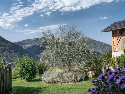 Apartment Weinberg Chalet Steindlgut - Outdoor photo 14