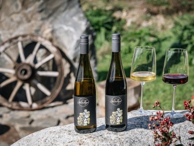 Apartment Weinberg Chalet Steindlgut - Outdoor photo 15