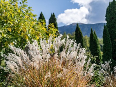 Apartment Weinberg Chalet Steindlgut - Outdoor photo 16