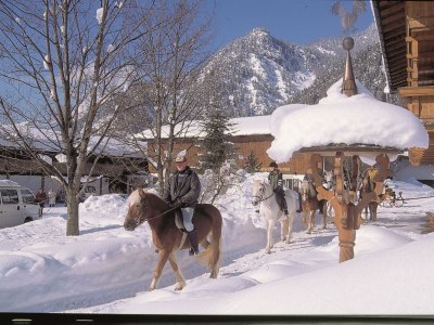 Apartment Appartement/Fewo, Bad, WC, 1 Schlafraum in Erpfendorf - Apartment