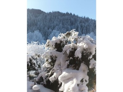 Apartment Appartement/Fewo, Bad, WC, 1 Schlafraum - Outdoor photo 11