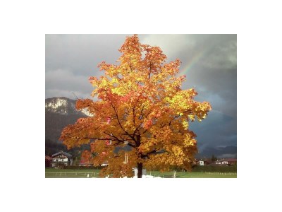 Apartment Apartment/2 Schlafräume/Dusche, WC - Outdoor photo 5