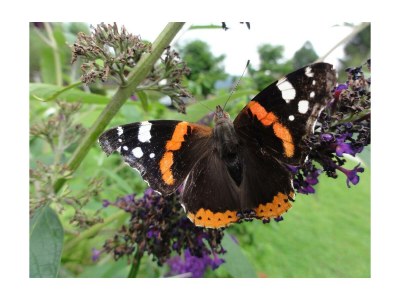 Apartment Apartment/2 Schlafräume/Dusche, WC - Outdoor photo 15