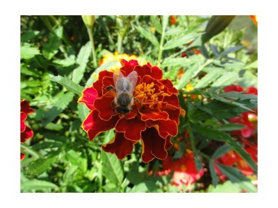 Apartment Apartment/2 Schlafräume/Dusche, WC - Outdoor photo 34