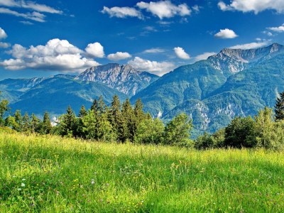 Holiday room Mobilhome Waikiki - Outdoor photo 62