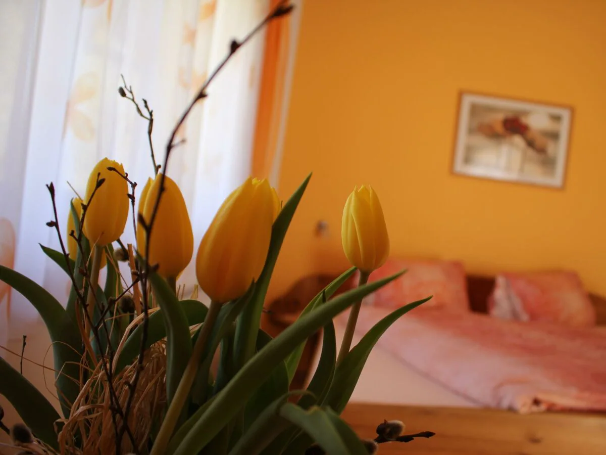 Holiday room Zimmer 2 Stronachkogel - Outdoor photo 5