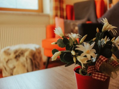 Holiday room Zimmer 2 Stronachkogel - Features photo 19