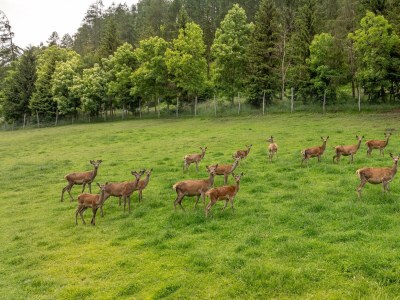 Apartment Chalet 1 - Outdoor photo 4