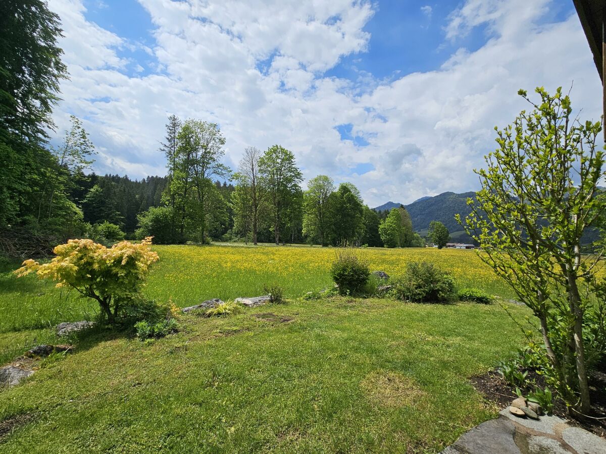 Holiday room Ferienhäusl Kreuzginz - Outdoor photo 2